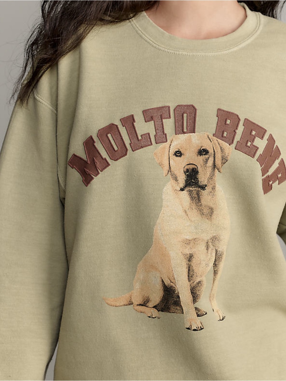 NWT Anthropologie Graphic Dog Sweatshirt XS
